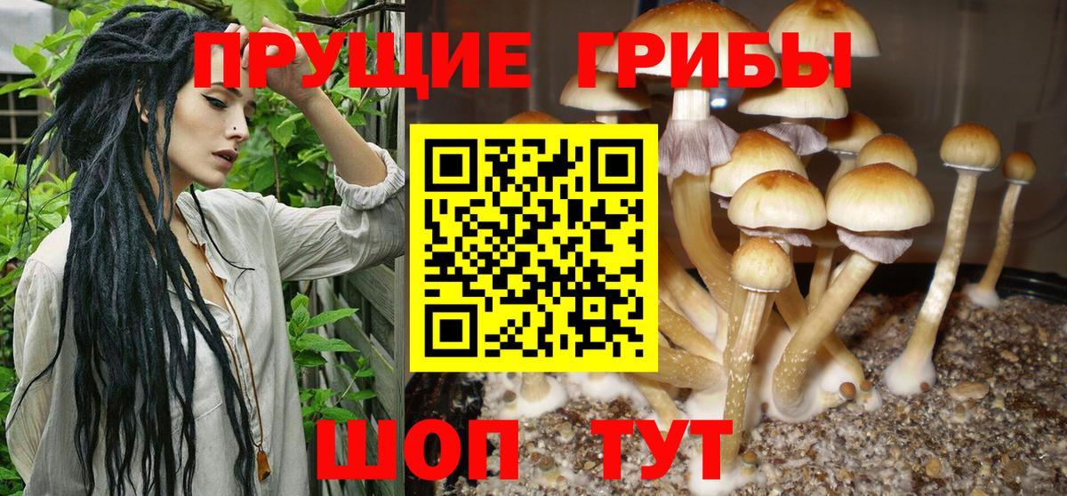 Псилоцибиновые грибы ЛСД  Галлюциногенные грибы Magic Shrooms  Вход с VPN  Великий Новгород 